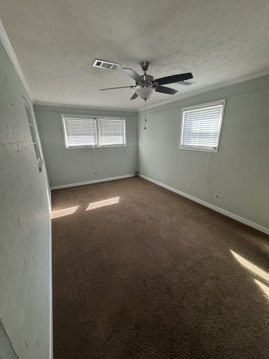 spare room featuring dark colored carpet, ceiling fan, crown molding, and a textured ceiling