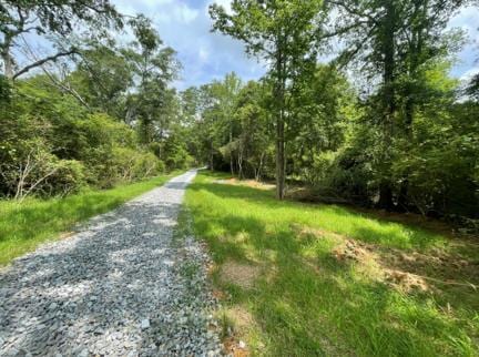 Listing photo 3 for n/a Pine Drive, Pine Mountain GA 31822