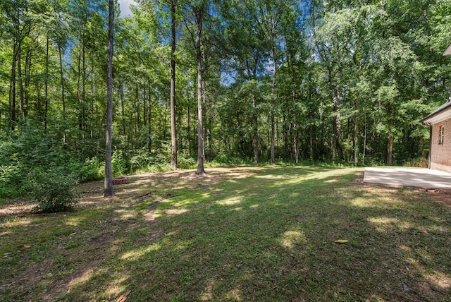 240 Lee Road 2099, Phenix City, AL 36870 - view of grassy yard featuring a patio area and a view of trees