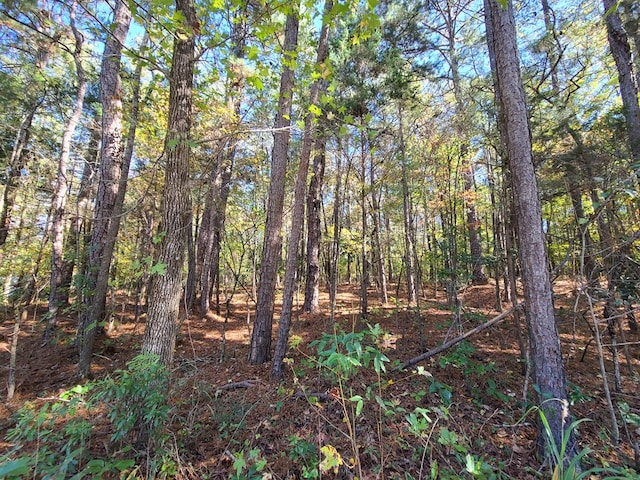 Listing photo 2 for LOT38C Red Oak Dr, Waverly Hall GA 31831