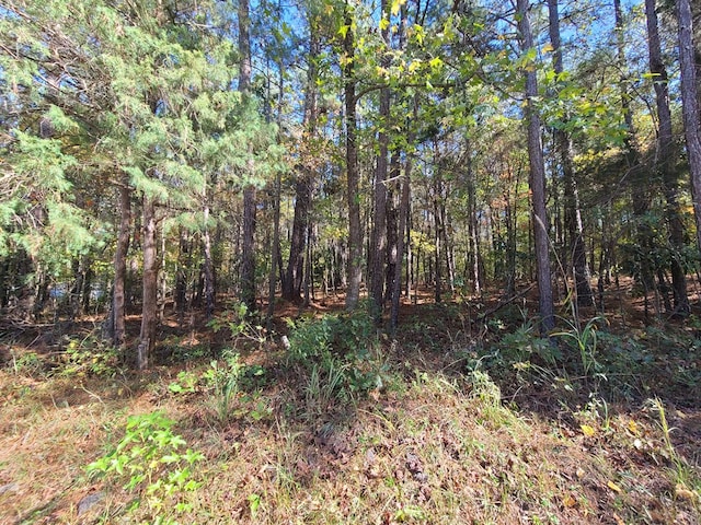 Listing photo 3 for LOT38C Red Oak Dr, Waverly Hall GA 31831