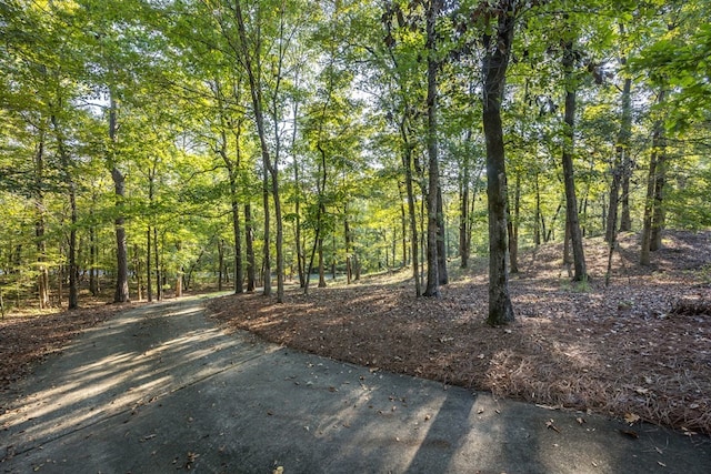 172-6 Almond Ridge Dr, Fortson, GA 31808 - photo 44