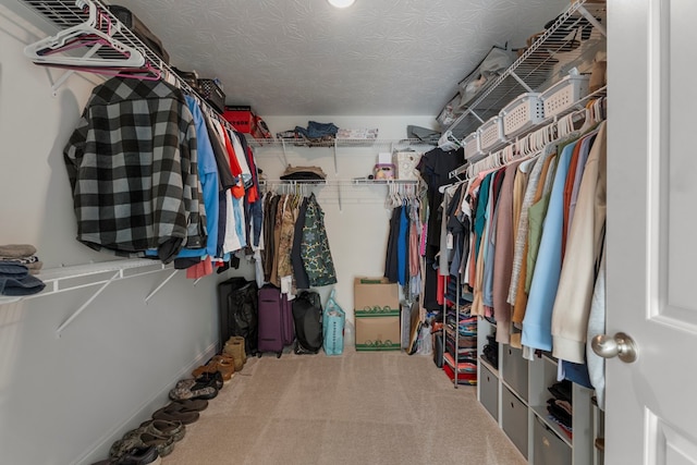 walk in closet with carpet flooring