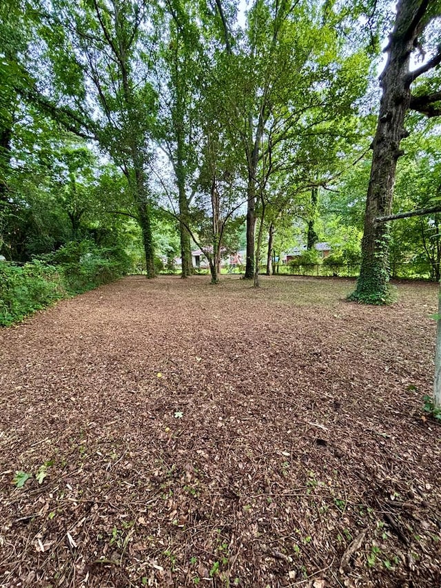 4026 Bowman St, Columbus, GA 31903 - view of yard