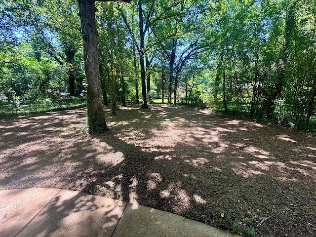4026 Bowman St, Columbus, GA 31903 - view of yard