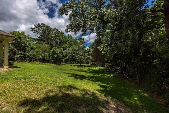1417 Cloverdale Rd, Columbus, GA 31904 - view of grassy yard