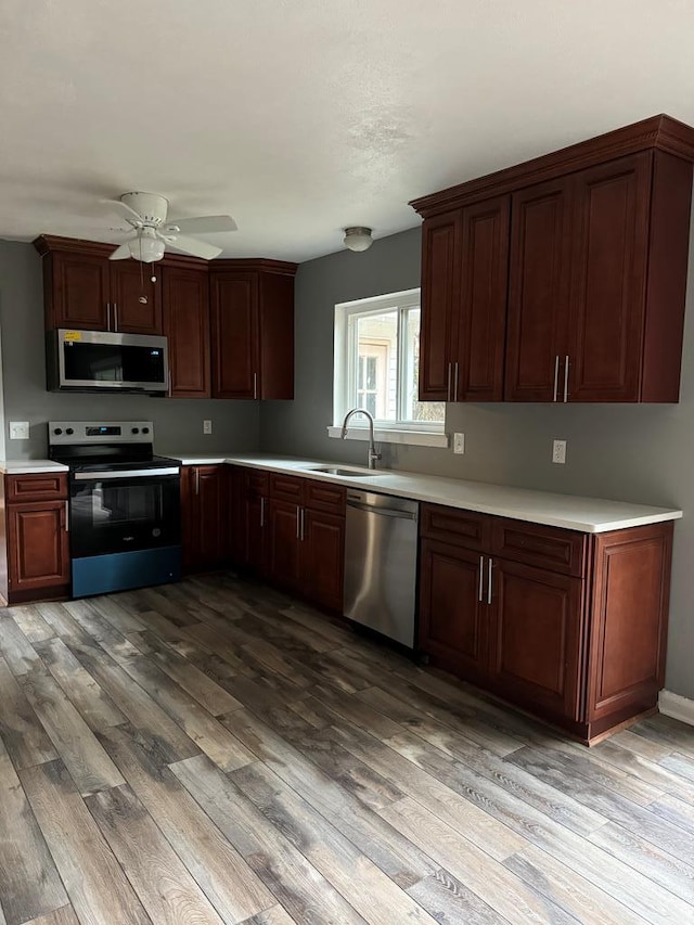 kitchen featuring stainless steel appliances, light hardwood / wood-style flooring, ceiling fan, and sink