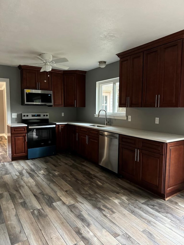 kitchen featuring ceiling fan, sink, light hardwood / wood-style flooring, and appliances with stainless steel finishes