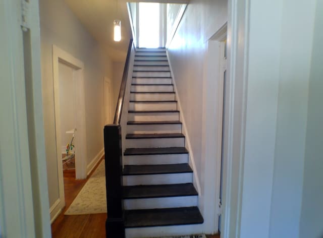 stairs featuring hardwood / wood-style floors