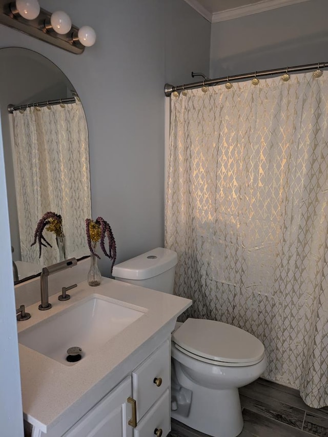 bathroom featuring crown molding, vanity, and toilet