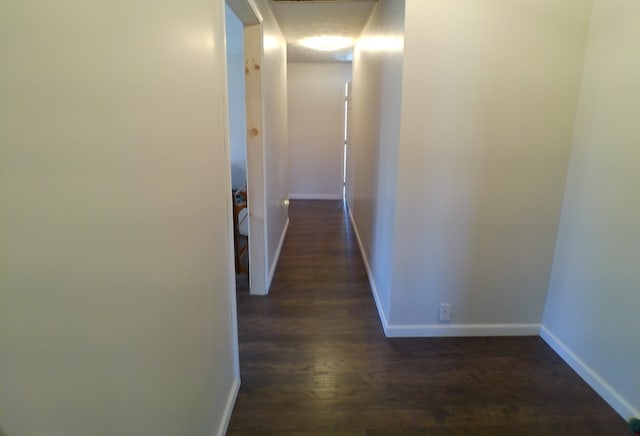 hallway featuring dark hardwood / wood-style flooring