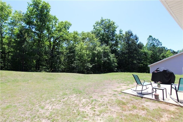 view of yard featuring a patio