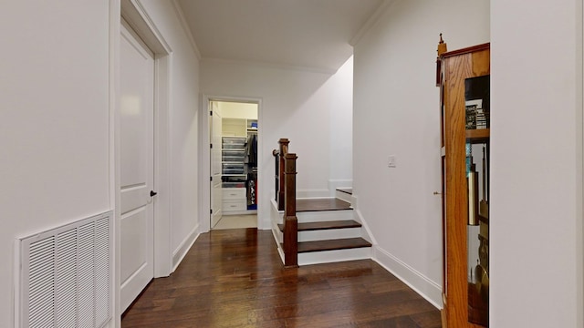 7718 River Crest Dr, Columbus, GA 31904 - hall with crown molding, wood finished floors, stairs, and baseboards