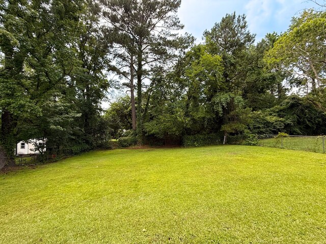 433 Olsen Ave, Columbus, GA 31907 - view of yard