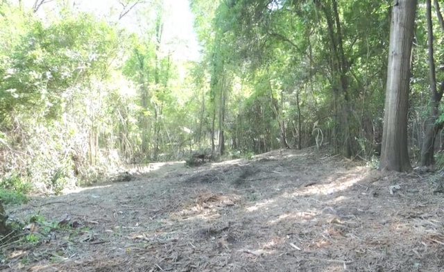 1221 16th Ave, Phenix City, AL 36867 - view of woods