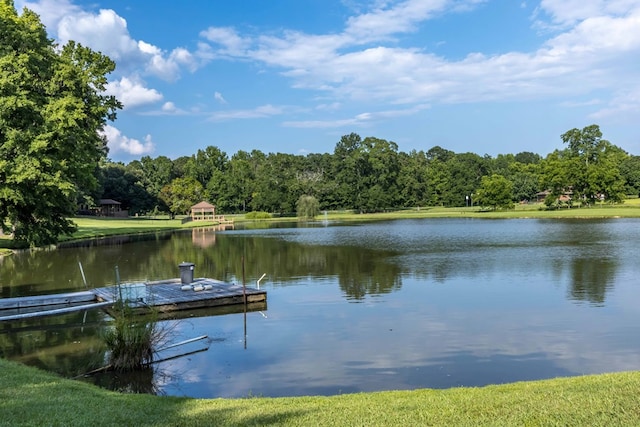 175 Slaughter Dr, Waverly Hall, GA 31831 - dock area featuring a water view
