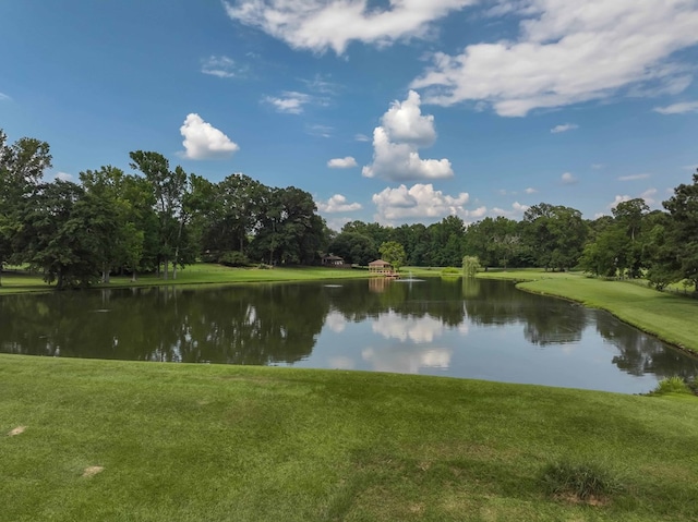 175 Slaughter Dr, Waverly Hall, GA 31831 - water view