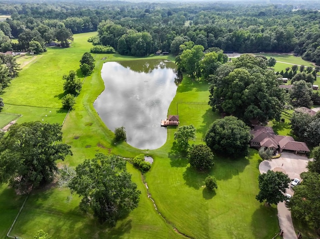 175 Slaughter Dr, Waverly Hall, GA 31831 - bird's eye view of a nearby body of water