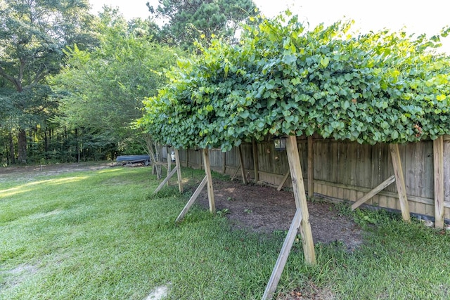 175 Slaughter Dr, Waverly Hall, GA 31831 - view of yard