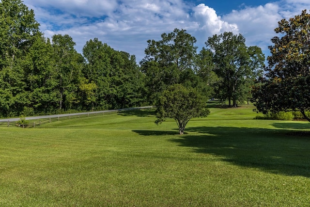 175 Slaughter Dr, Waverly Hall, GA 31831 - view of property's community featuring a lawn