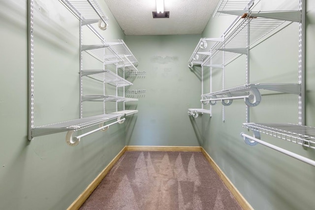 175 Slaughter Dr, Waverly Hall, GA 31831 - spacious closet with carpet floors