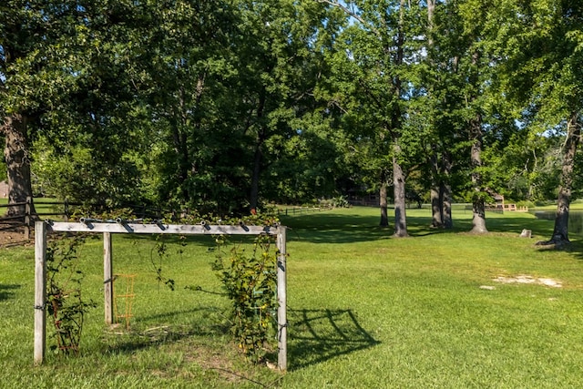175 Slaughter Dr, Waverly Hall, GA 31831 - view of yard