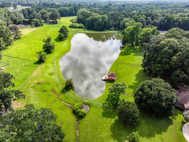 175 Slaughter Dr, Waverly Hall, GA 31831 - aerial view of a nearby body of water
