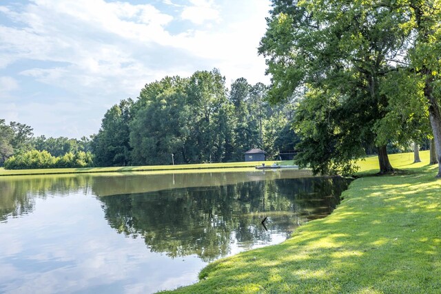 175 Slaughter Dr, Waverly Hall, GA 31831 - water view