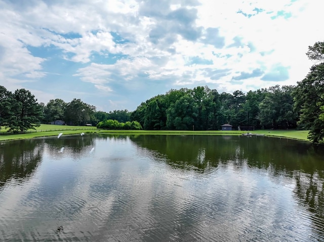 175 Slaughter Dr, Waverly Hall, GA 31831 - water view featuring a heavily wooded area
