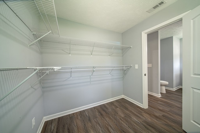 walk in closet featuring dark hardwood / wood-style flooring