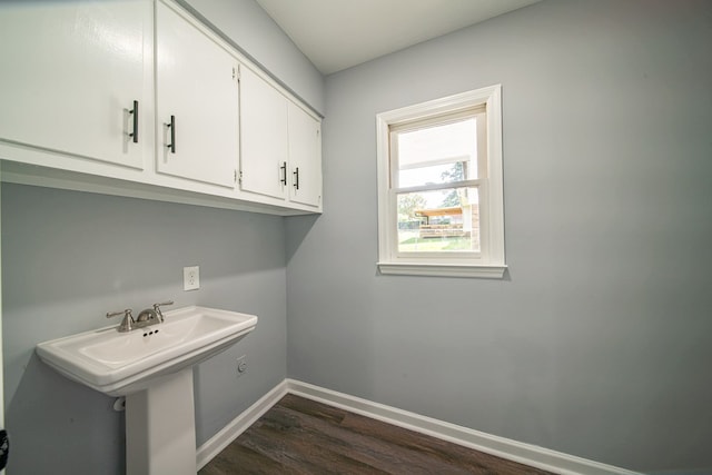 washroom featuring dark hardwood / wood-style flooring and sink