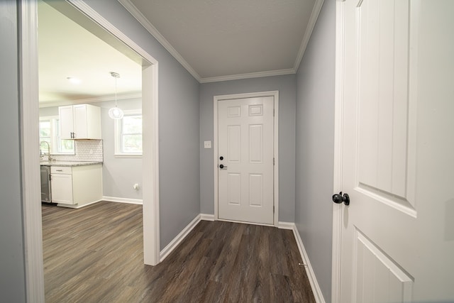 doorway featuring dark hardwood / wood-style floors and ornamental molding