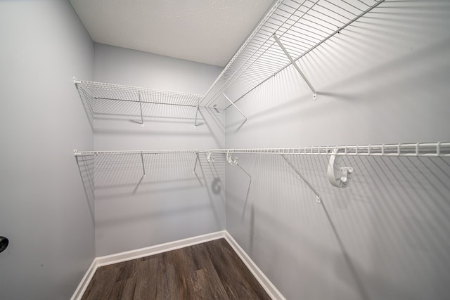 walk in closet featuring hardwood / wood-style floors