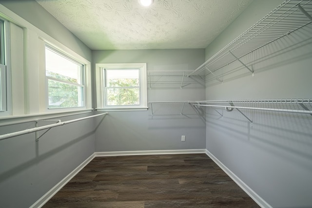 walk in closet featuring dark hardwood / wood-style floors