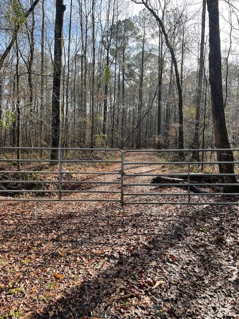 0 County Line Church Rd, Warm Springs GA, 31830 land for sale