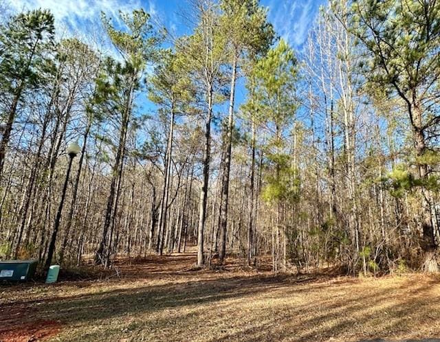 LOT18 Oak Ridge Dr, Waverly Hall GA, 31831 land for sale