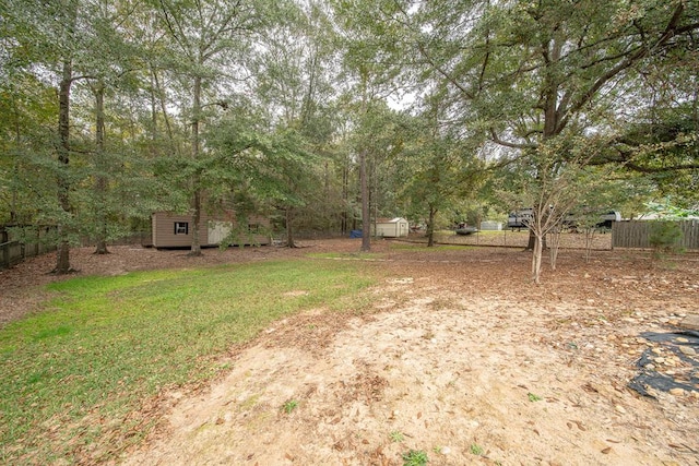 view of yard featuring a storage shed