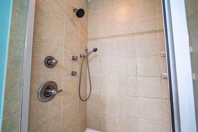 bathroom with a stall shower