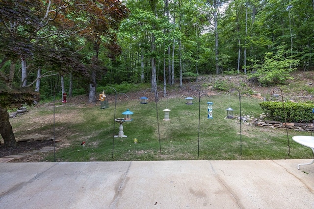 view of community with a yard