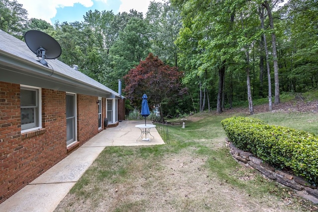 view of yard featuring a patio area