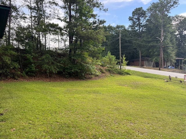 803 Park Hill Dr, Columbus, GA 31907 - photo 20