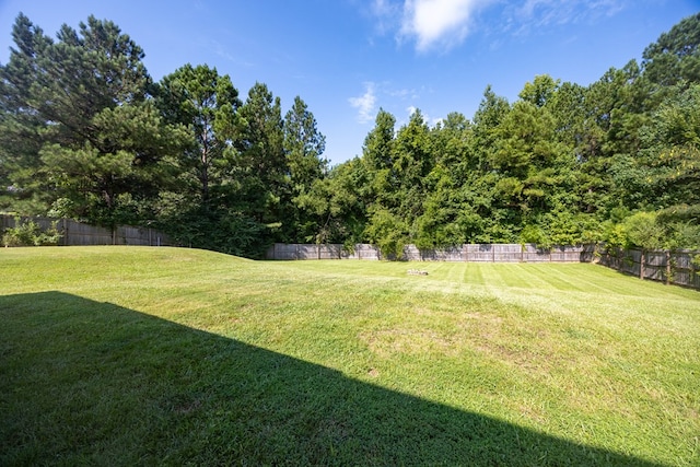 272 Running Bear Dr, Smiths Station, AL 36877 - photo 35
