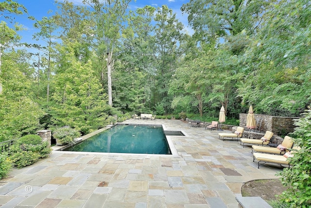 6528 Standing Boy Dr, Columbus, GA 31904 - pool with a patio