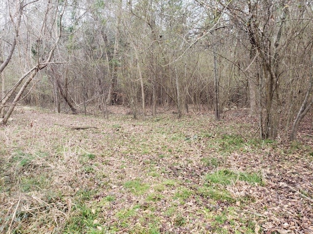 8211 Lantern Ct, Columbus, GA 31904 - view of woods