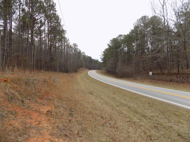 0A Lower Blue Springs Rd, Hamilton GA, 31811 land for sale