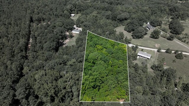 0 Diamond Rd, Waverly Hall, GA 31831 - photo 1