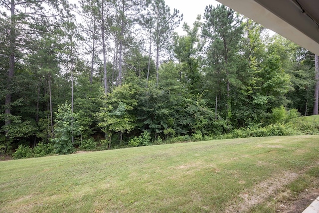 30 Veterans Ct, Fort Mitchell, AL 36856 - photo 32