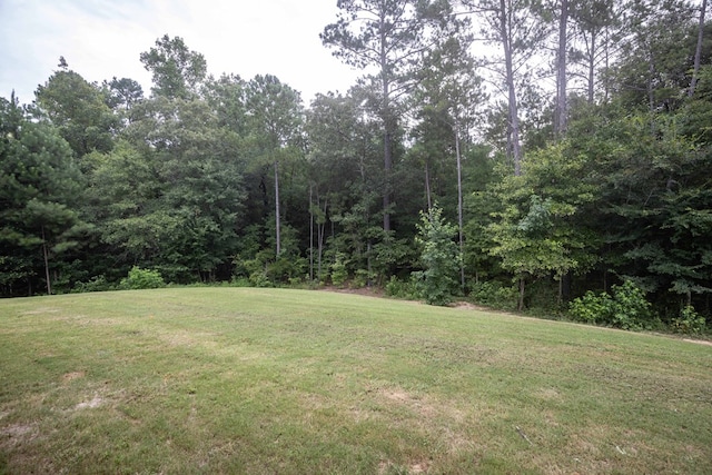 30 Veterans Ct, Fort Mitchell, AL 36856 - photo 33