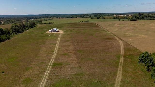 129 Hayes Rd, Mauk, GA 31058 - view of rural area