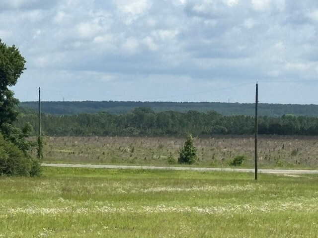 129 Hayes Rd, Mauk, GA 31058 - view of yard featuring a view of rural / pastoral area